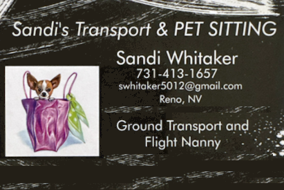 Sandi's Transport and Pet Sitting